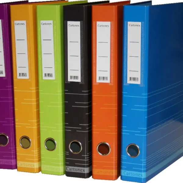 Pastas Arquivo Ref.40RN - Fina Lomb.40 C/Riscas - Pack 10