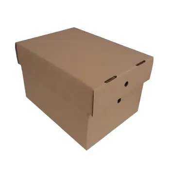 CAIXAS CARTAO SIMPLES 306X226X197 C/TAMPA 2621 PACK 25