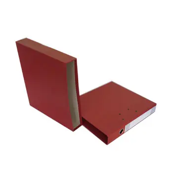 PASTAS ARQ.CARTONEX REF.202CC - 310x290x40 C/CX FIXA CARTAO COR - Pack 8