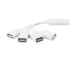HUB USB EWENT EW1110 BRANCO 2.0  4 PORTAS FLEXIVEL - 160616 - Image 2