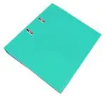 PASTAS ARQ.PVC LIDER. DOCUMENTA AZ81 VERDE CLARO C/CALHA LOMB.45 - 79698